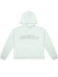 1-800-Boys-Lie Hoodie