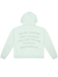 1-800-Boys-Lie Hoodie