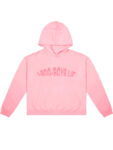 1-800-Boys-Lie Hoodie