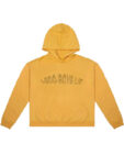 1-800-Boys-Lie Hoodie