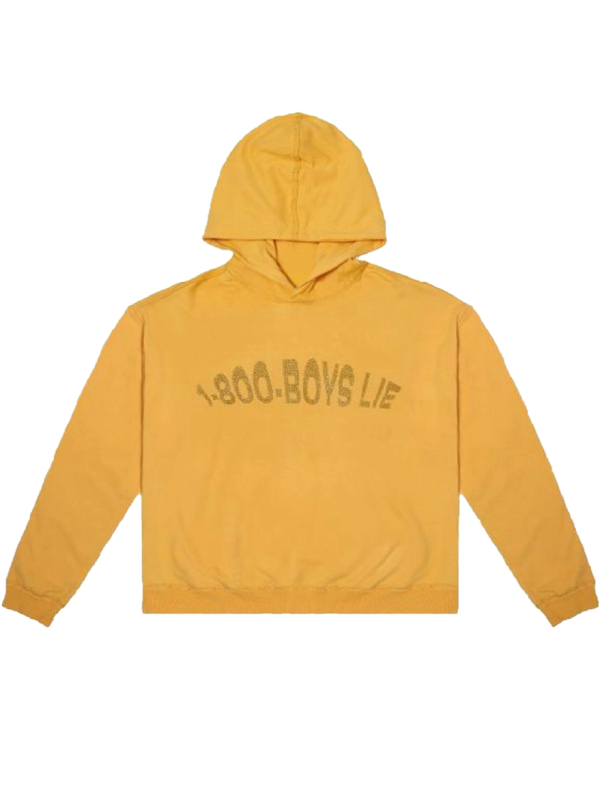 1-800-Boys-Lie Hoodie