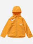 The North Face Pokemon Jacket